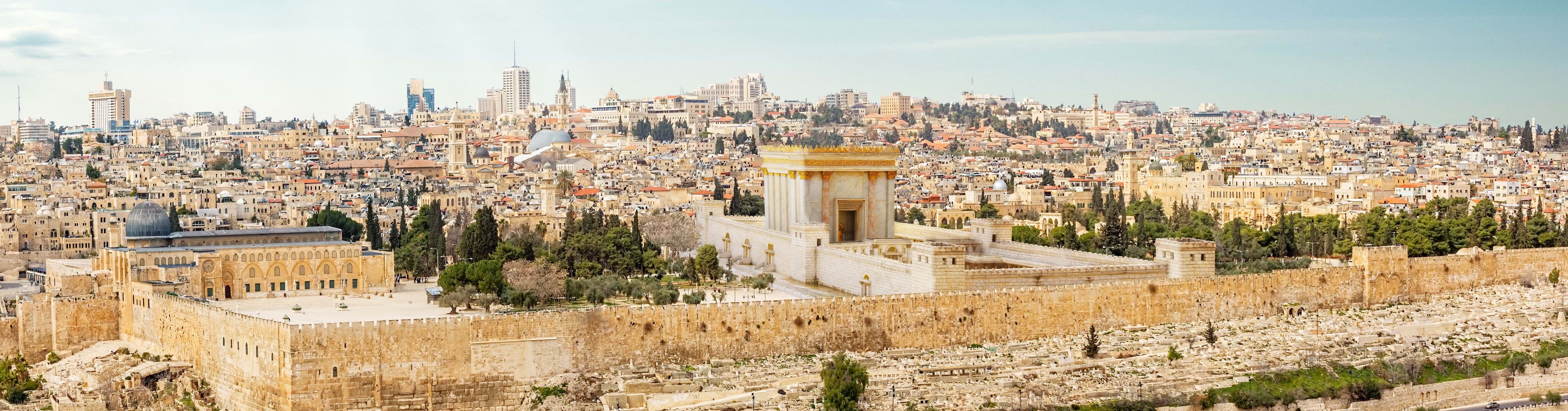 zionemet-donation-banner